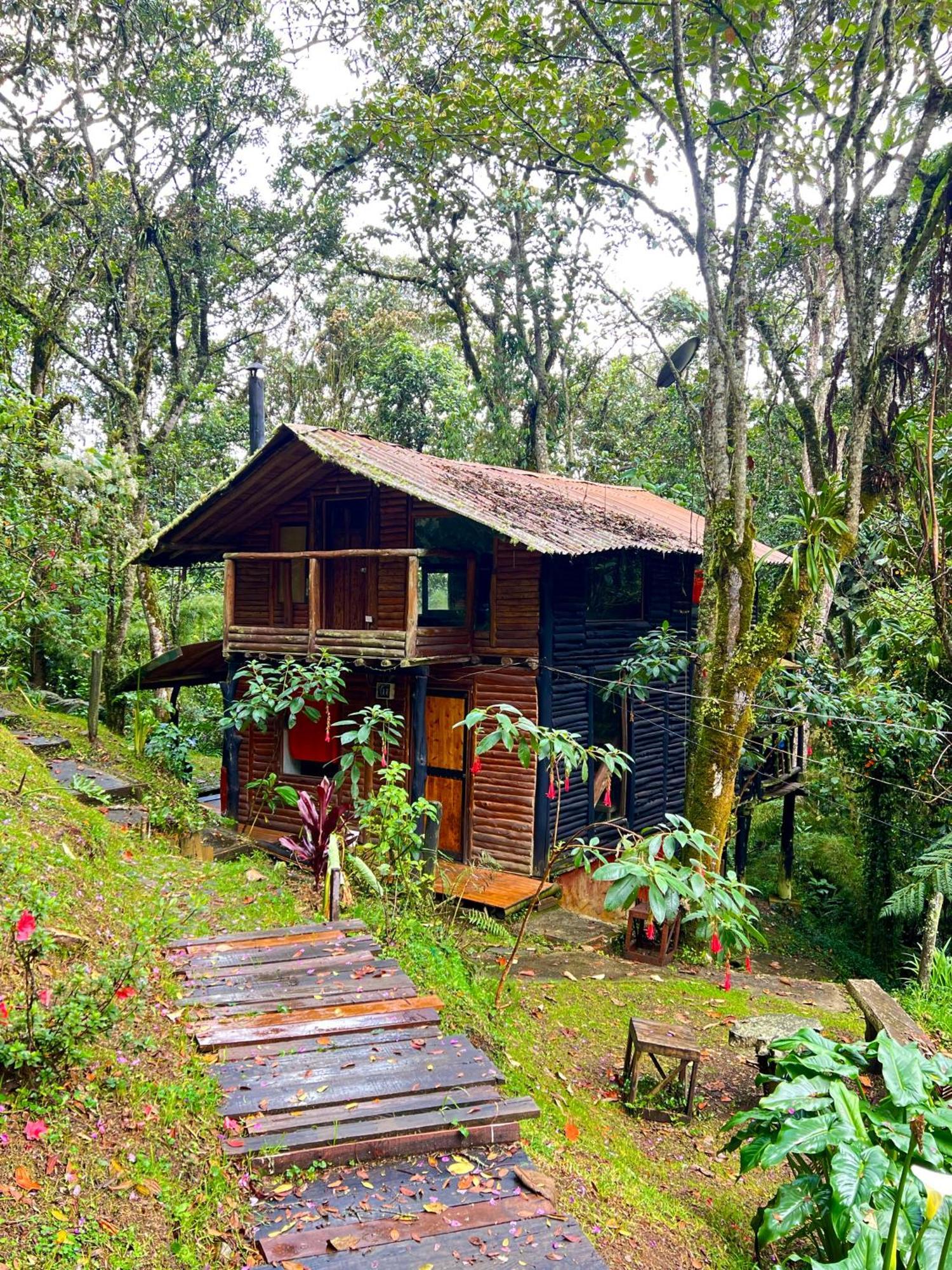 La Cabaña Musical * Medellín