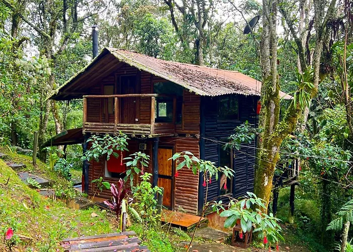 La Cabana Musical